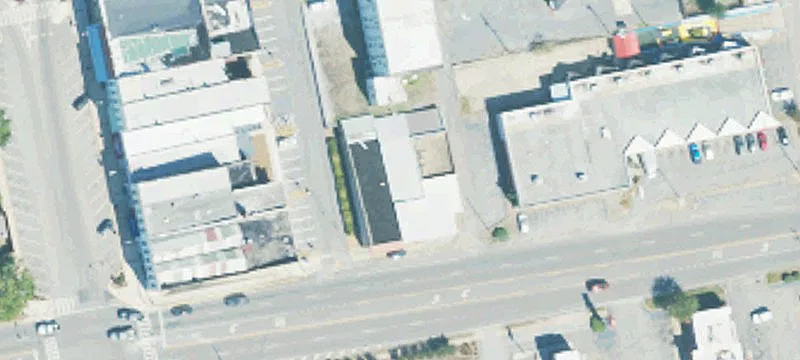 Treed Land Parcel