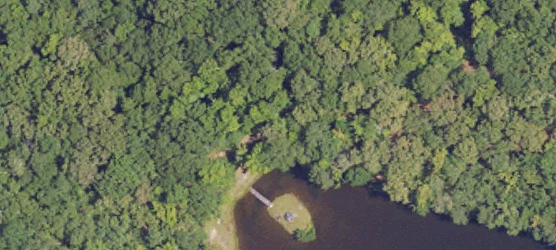 Hunting Land With Food Plots