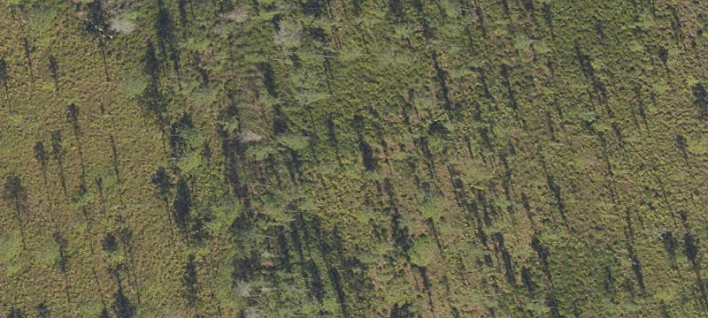 Waterfront Land Parcel