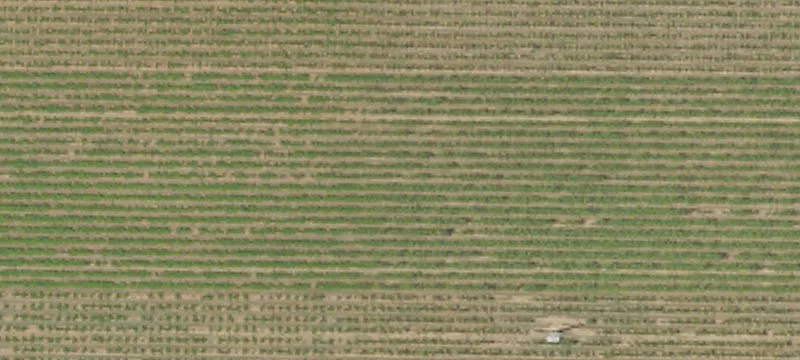 Vineyard Property With Pond