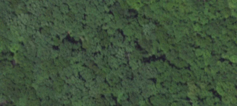 Fenced Farmland with Creek