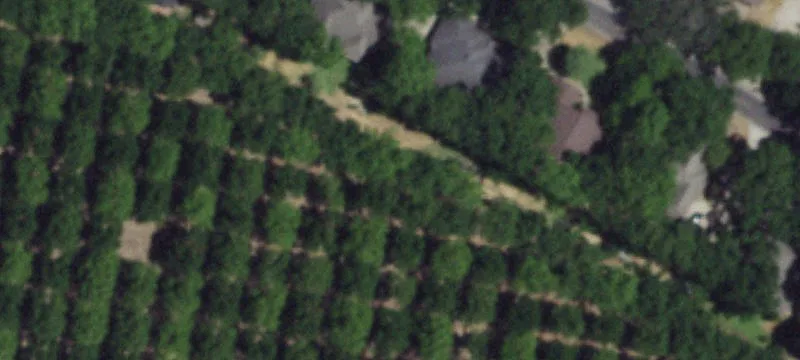 Unimproved Land