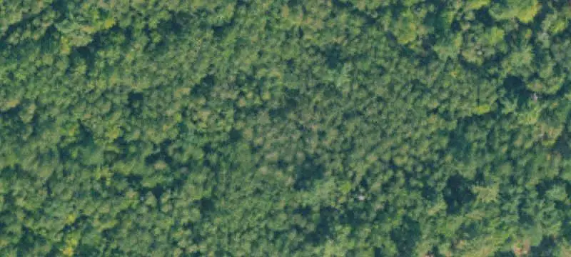 Unimproved Land