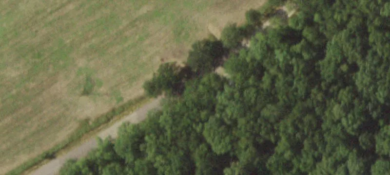 Working Farm With Ranch Home
