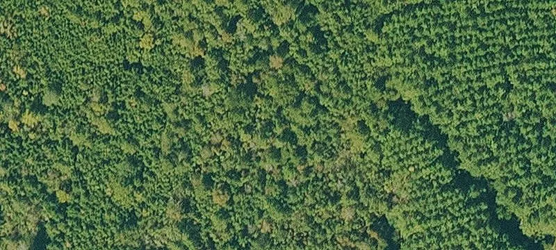 Lots/Land