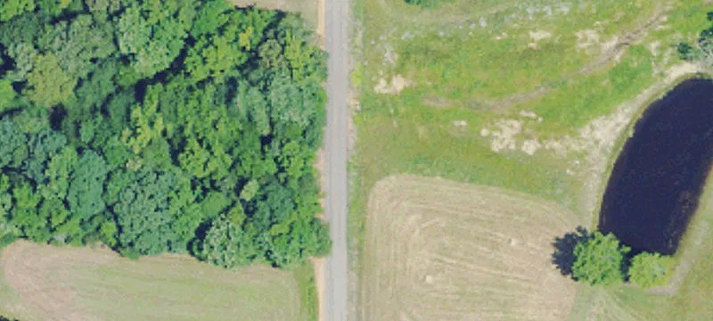 Wooded Land Tract