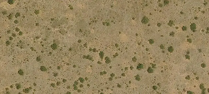 Unimproved Land