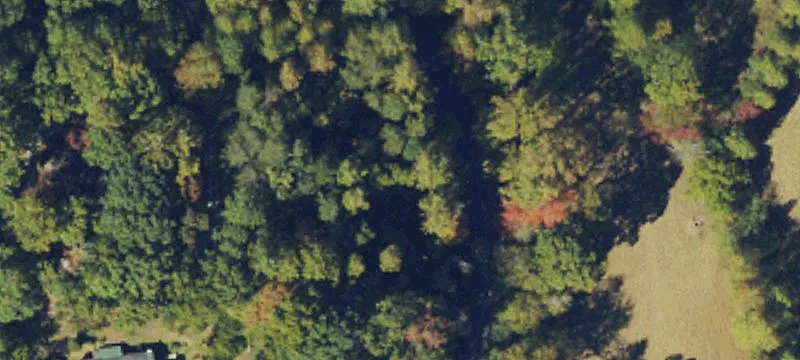 Mountain Land Parcel