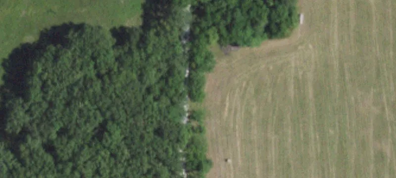 Pasture and Timber Farmland