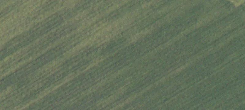 Farm Property