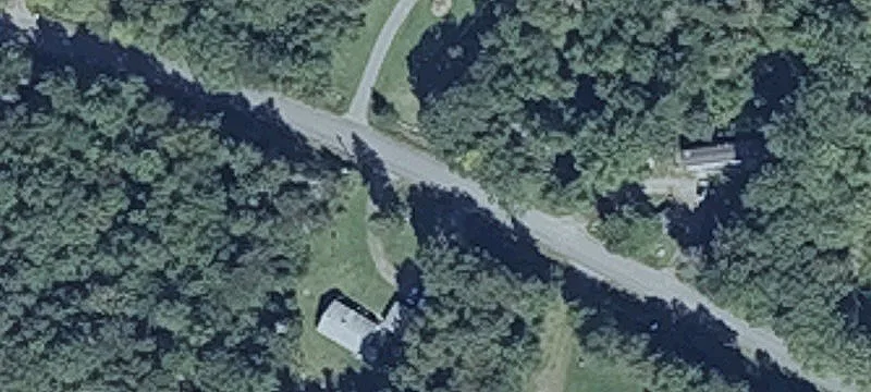 Blueberry Farmland with Woodlands