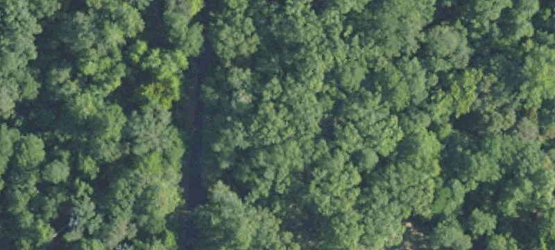 Land Parcel