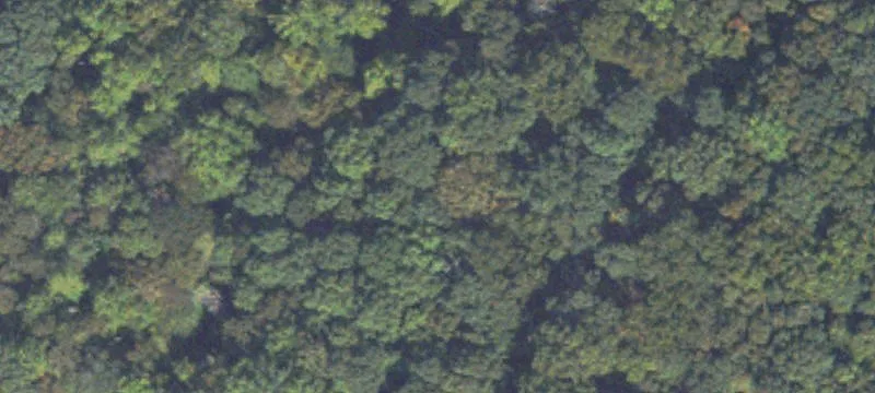Waterfront Land with Creek Frontage