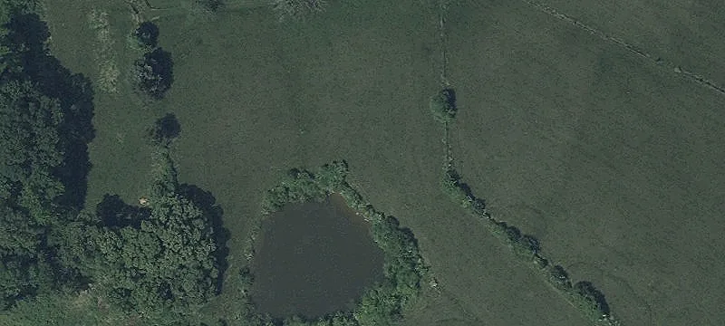 Land