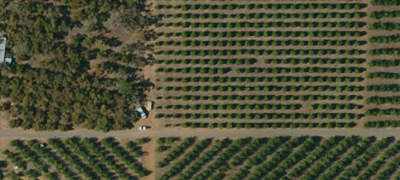 Organic Farm with Irrigation Wells