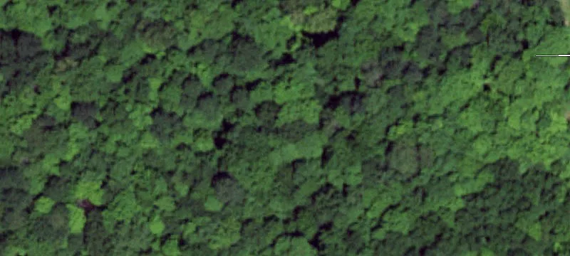 Wooded Recreation Land