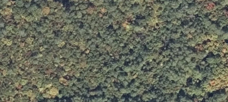 Commercial Land With Improvements