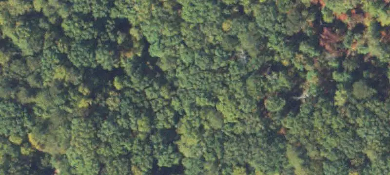 Unimproved Land