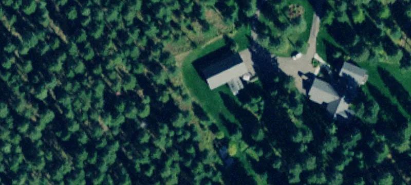 Timbered Agricultural Land