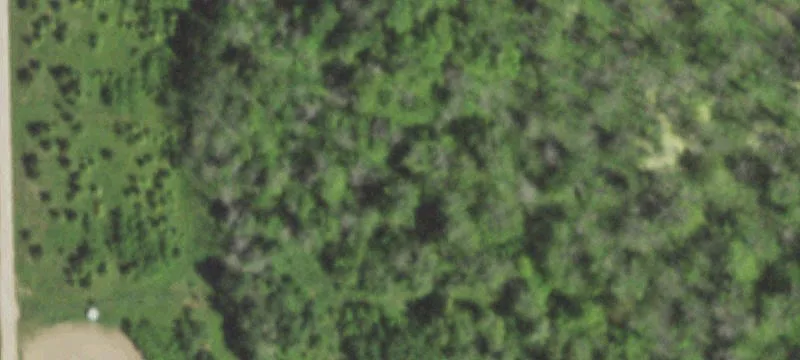 Vacant Land/Acreage