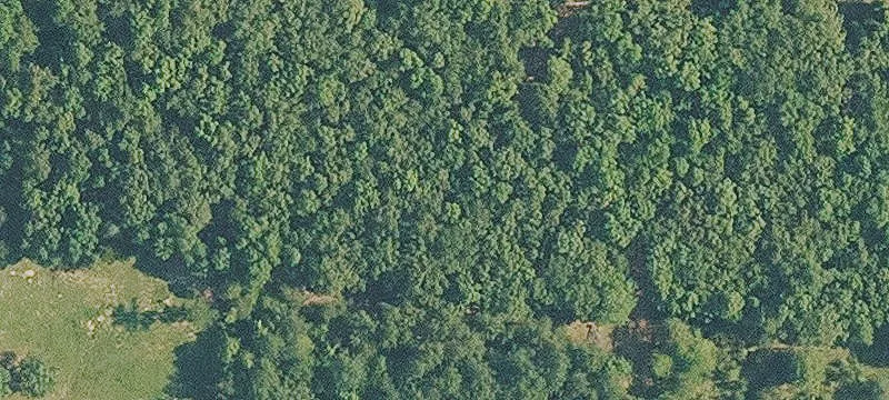 Cleared Farmland