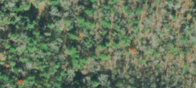 Residential Land