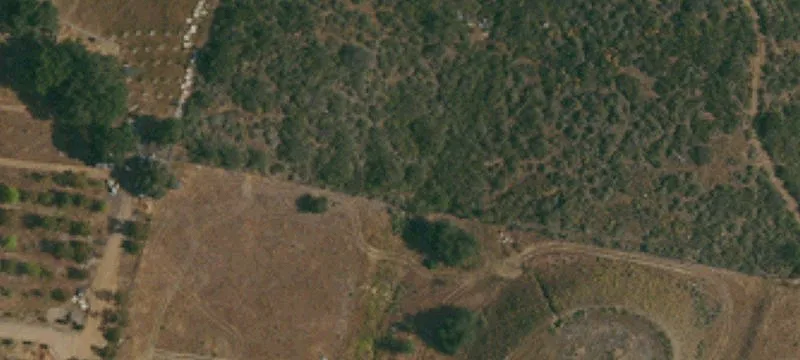 LAND