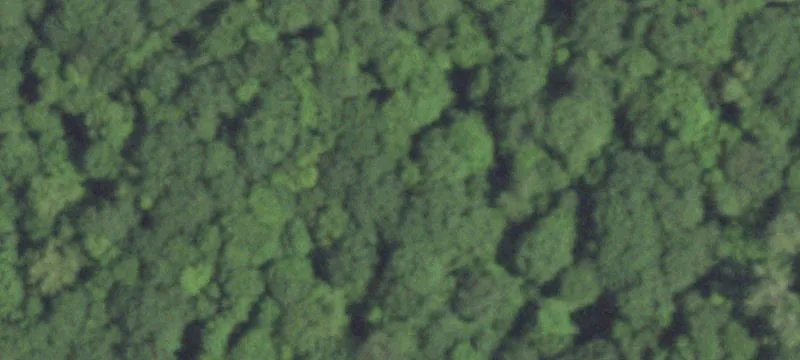 Vacant Land/Acreage