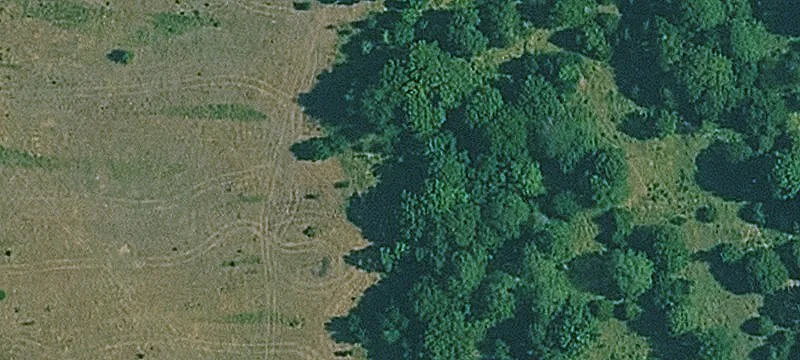 Flex Building with Drive-In Access