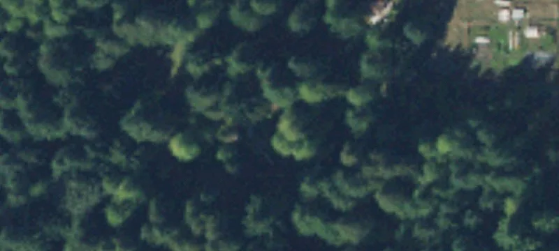 Waterfront Timber Land