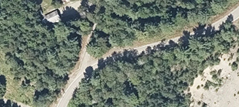 Hunting Land with Upland Forest