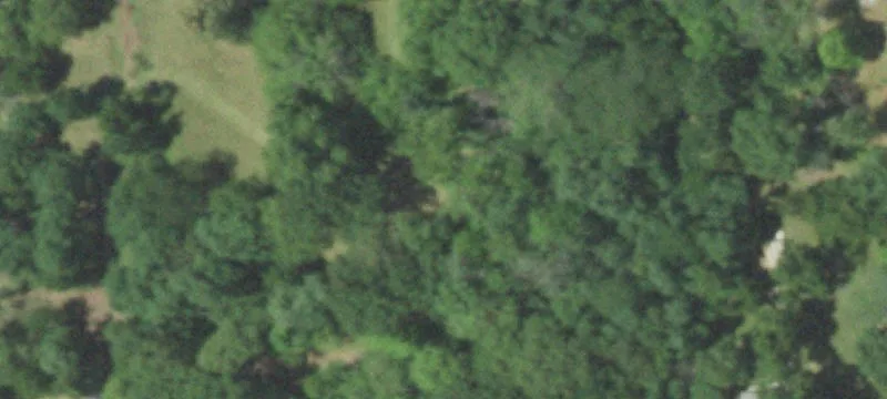 Partially Wooded Agricultural Land