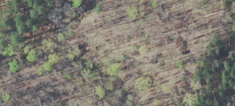 LAND