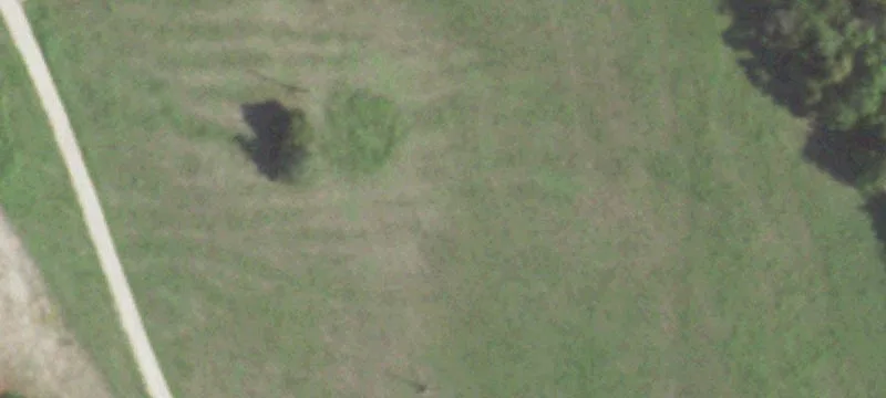 Farm Property with Farmhouse