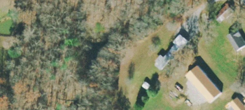 Wooded Mountain Land