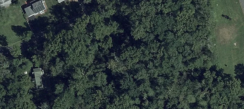 Unimproved Land