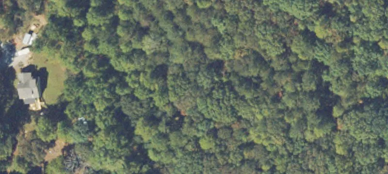 Wooded Agricultural Land