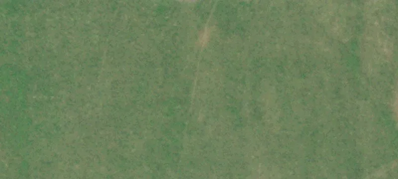 Cattle Ranch with Airstrip