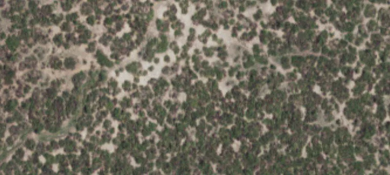 RV Park with 16 Spaces