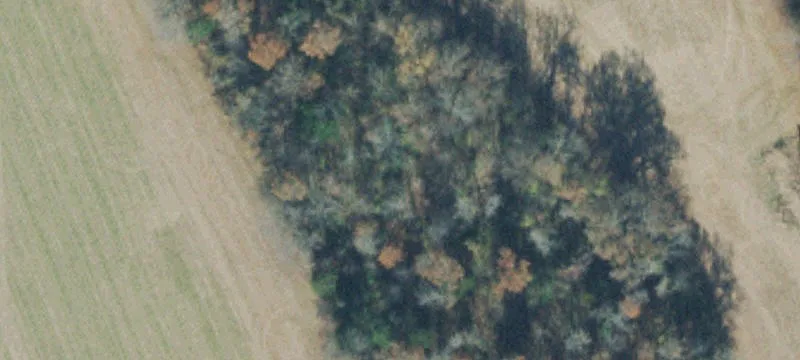 Wooded and Pasture Farmland