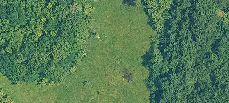 Land