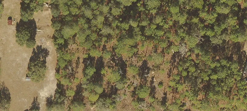 Agricultural Land