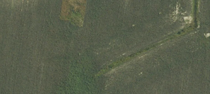 Wooded Recreational Land