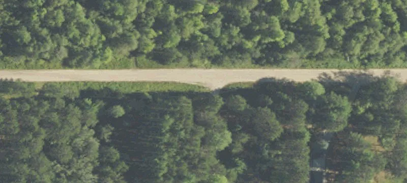 Wooded Hunting Land