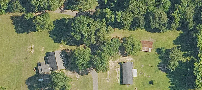Land With Timber Lease