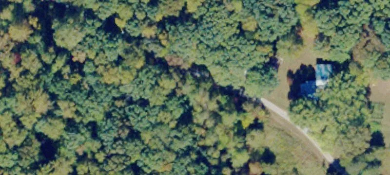 Wooded Land Tract