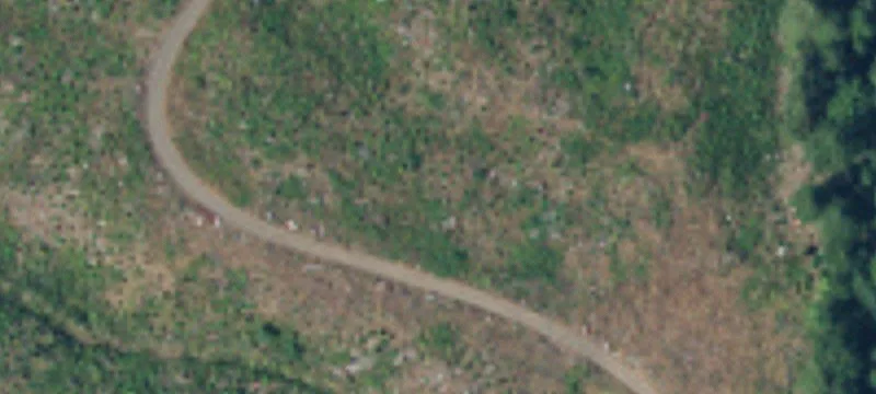 Forested Recreation Land
