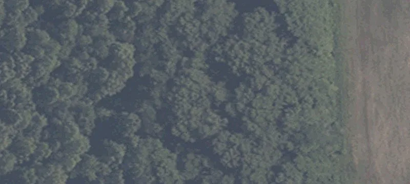 Land