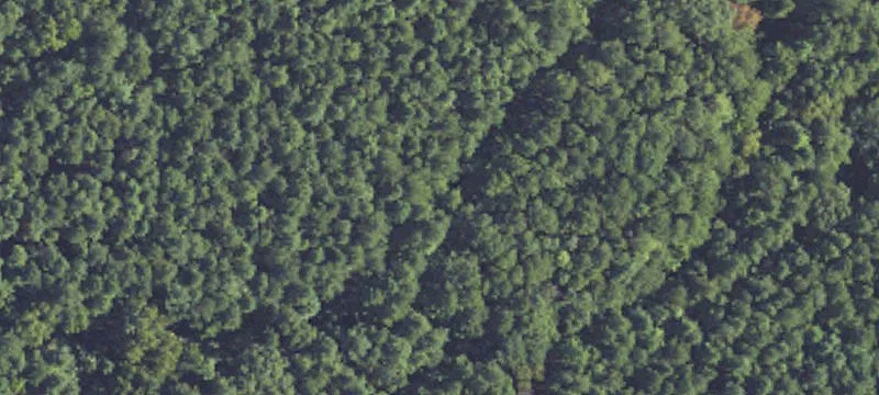 817 Arbor Pointe, Brandon, MS 39047
