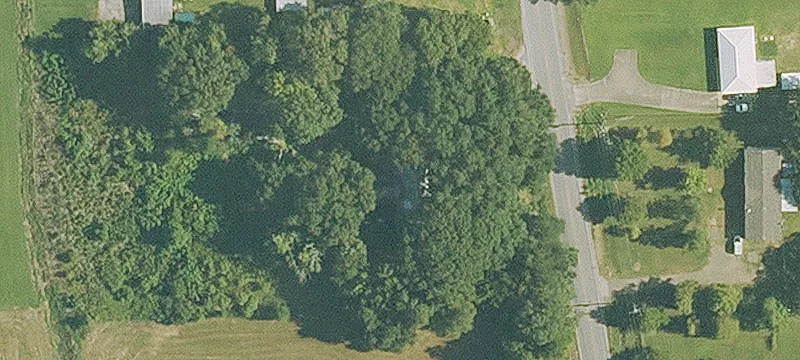 Level Cleared Land Tract